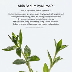 Abib Sedum Hyaluron Pad Hydrating Touch – 165ml / 75 Pads Abib