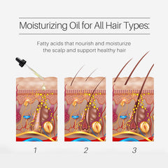 Sauvasine Onion Oil For Hair Growth - 100ml Sauvasine