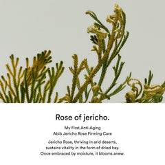 Abib Jericho rose PHA toner_skin booster - 200ml Abib