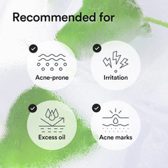 Abib Heartleaf TECA Capsule Serum Calming Drop 50ml Abib