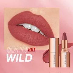 O.TWO.O Matte Finish Waterproof Long Wear Silky Lipstick M16 O.TWO.O