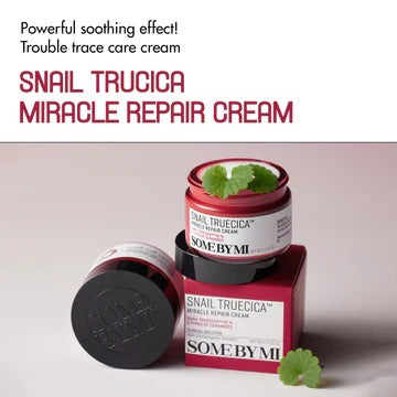Some By Mi Snail Truecica Miracle Repair Starter Kit Some By Mi