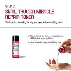 Some By Mi Snail Truecica Miracle Repair Starter Kit Some By Mi