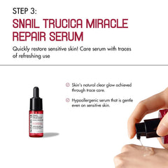 Some By Mi Snail Truecica Miracle Repair Starter Kit Some By Mi