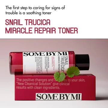 Some By Mi Snail Truecica Miracle Repair Starter Kit Some By Mi