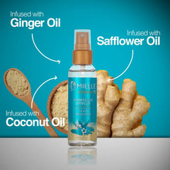 Mielle Hawaiian Ginger Scalp Treatment - 59ml MIELLE