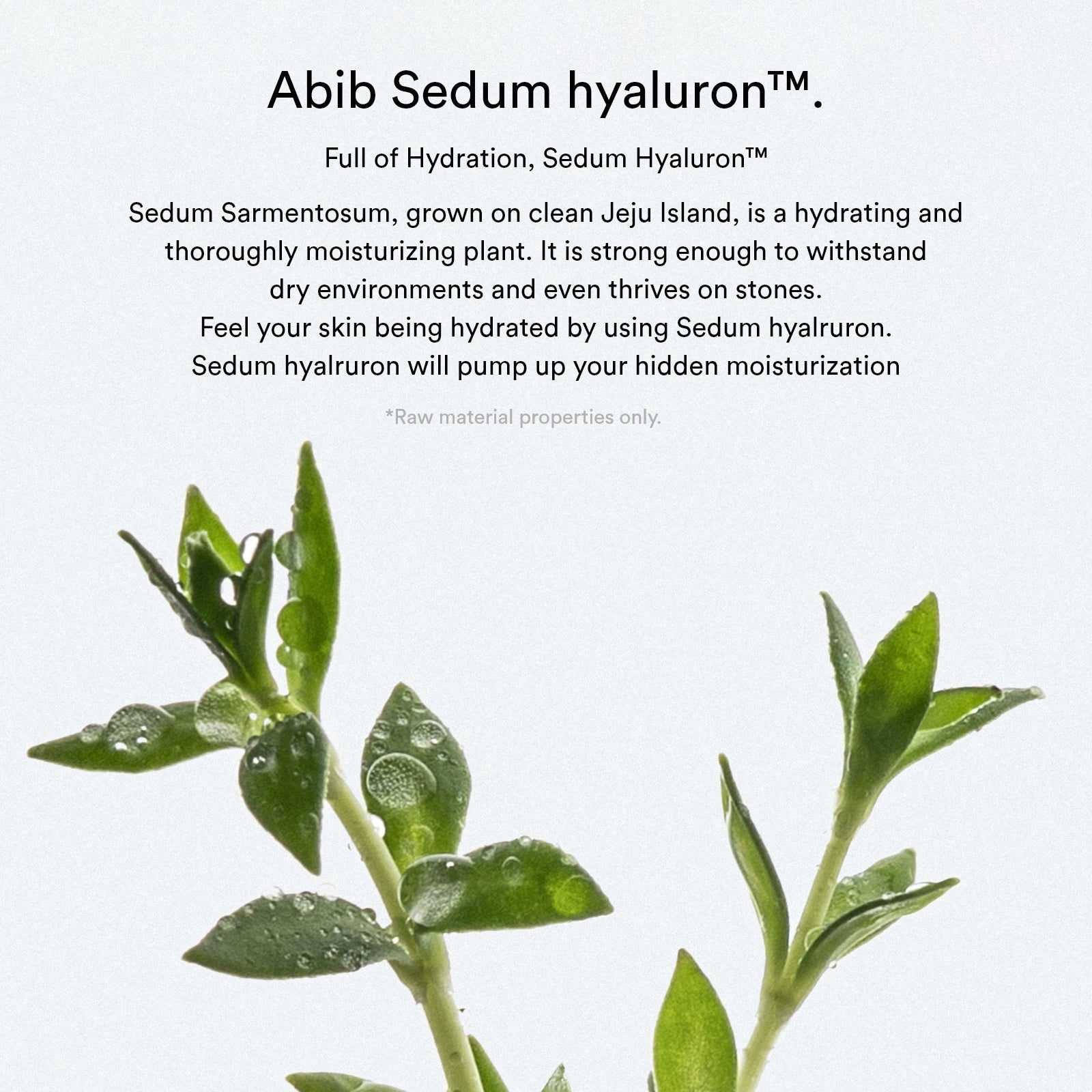 Abib Sedum Hyaluron Pad Hydrating Touch – 165ml / 75 Pads Abib